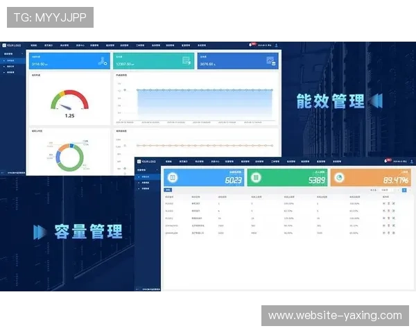 开云数字站实现企业信息化管理的全面升级，提升运营效率与数据安全