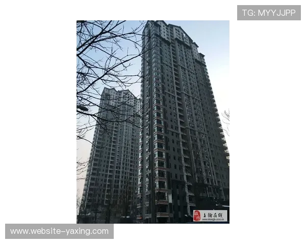 亚星官网868最新资讯全面解析助你掌握行业动态