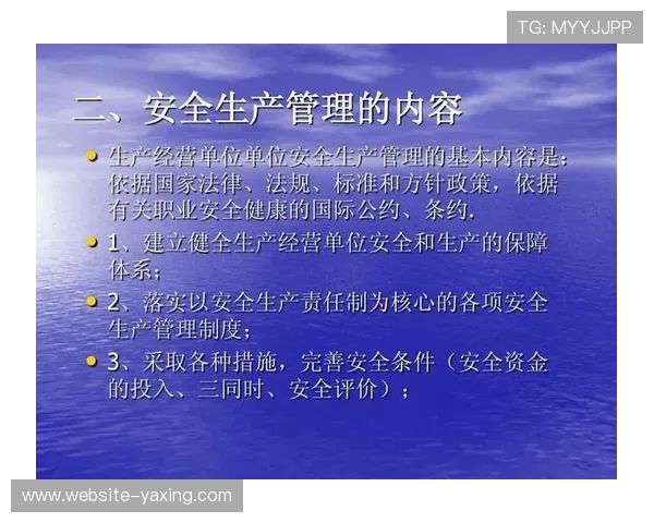 亚星登录管理网为企业提供的安全登录方案与优化建议