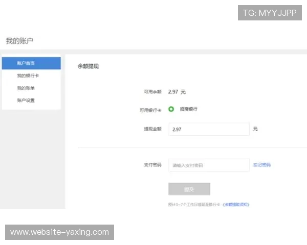亚星在线娱乐支付方式多样化,便捷安全的充值与提现流程详解 亚星在线娱乐支付方式多样化,便捷安全的充值与提现流程详解