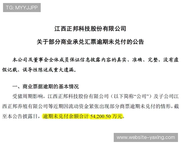 如何运用科学的百家乐必胜打法实现持续盈利的详细操作指南与注意事项